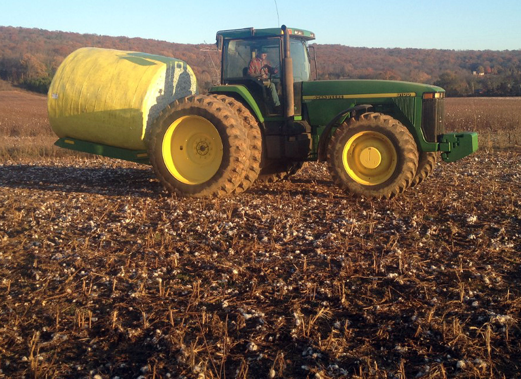 From Field to Dairy How Whole Cottonseed Gets to You Whole Cottonseed