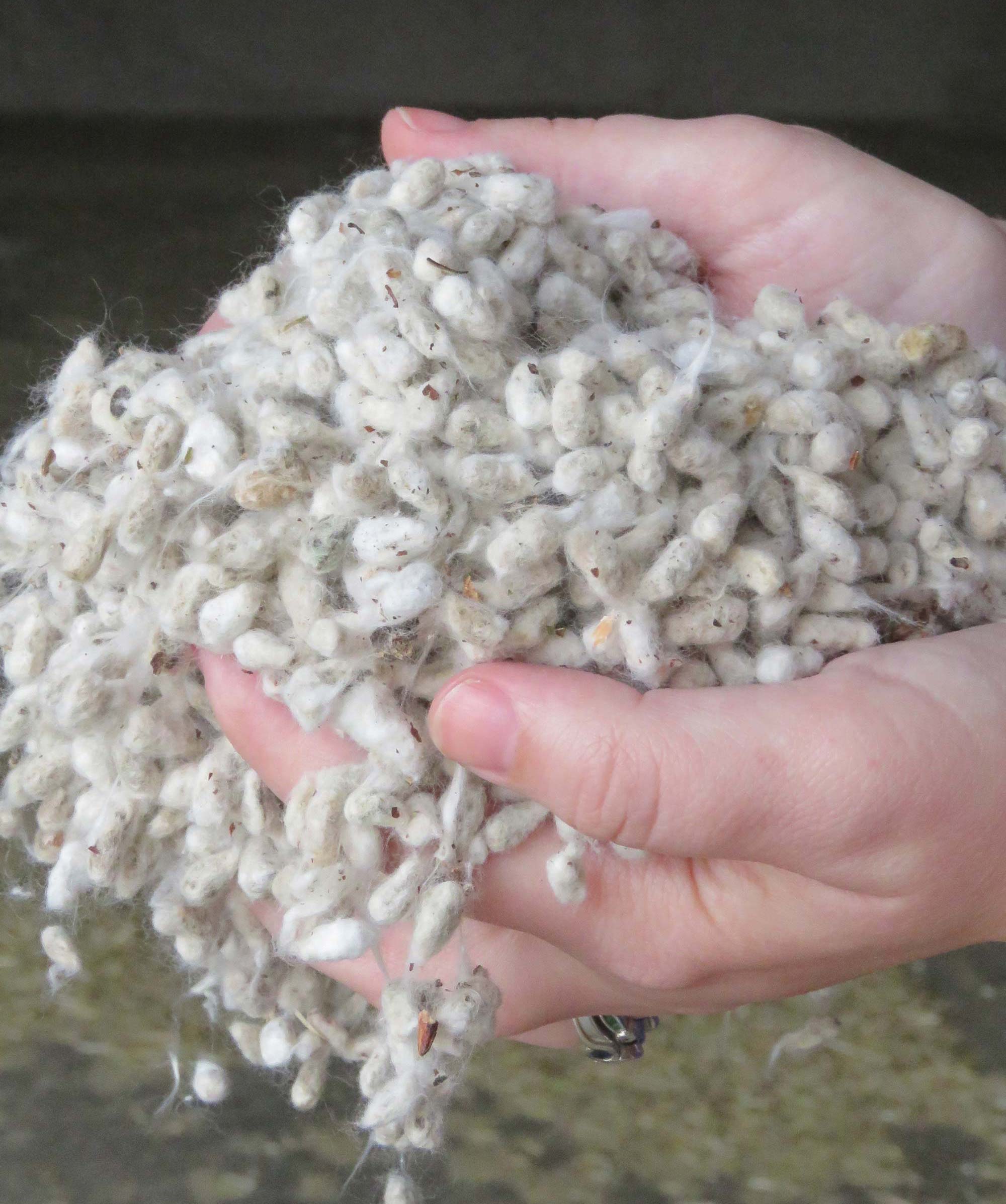 Looking for the Best Price on Whole Cottonseed? Get to Know a Supplier