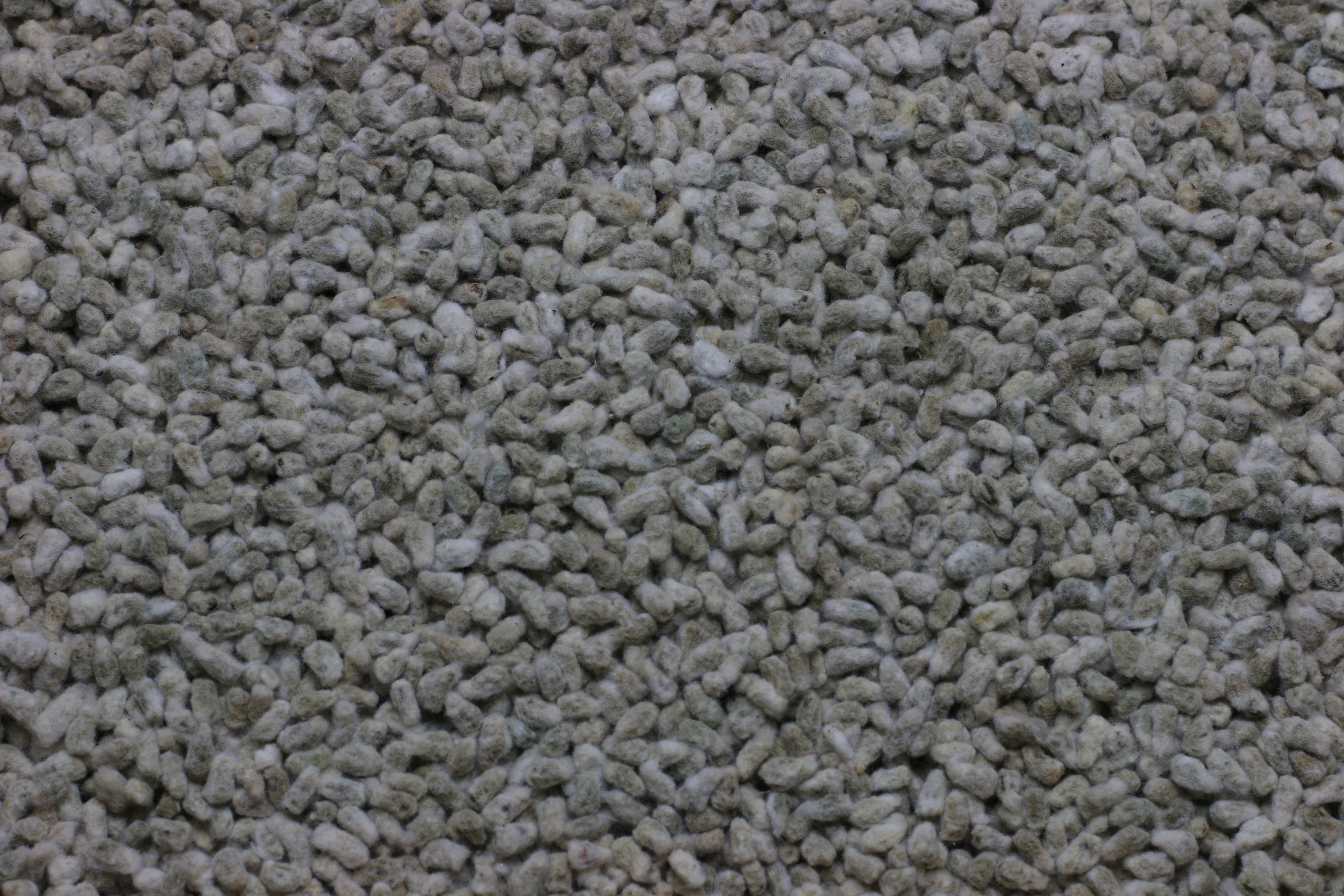 The 2023 Cottonseed Crop Markets Outlook and What It Means for