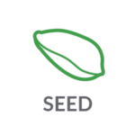 Seed